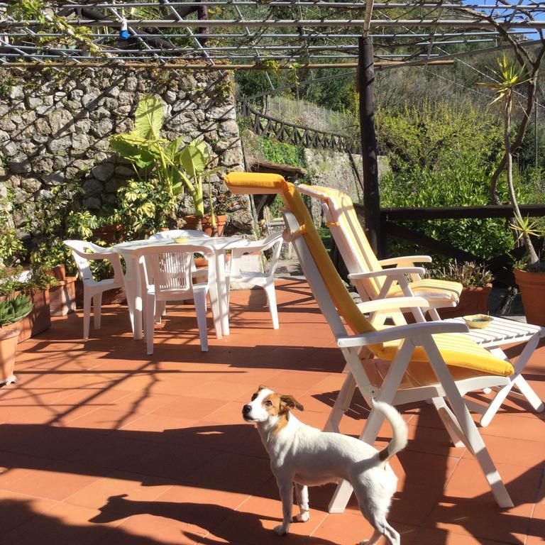 B&B Le Tre Casette Maratea Exterior foto