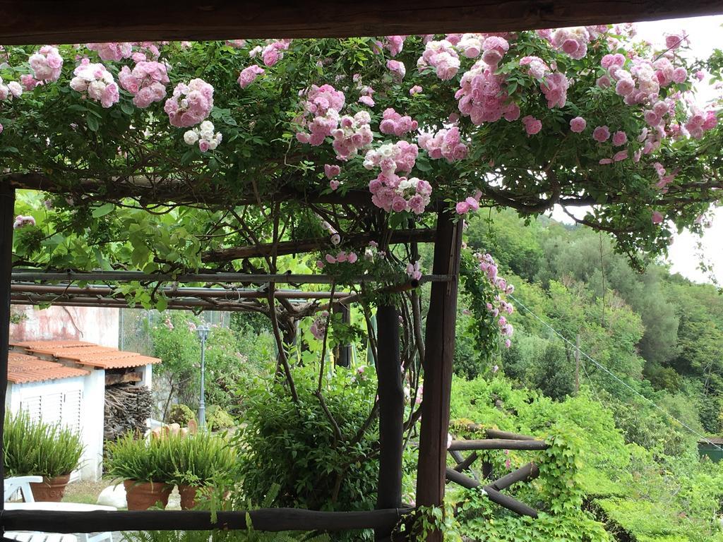 B&B Le Tre Casette Maratea Exterior foto
